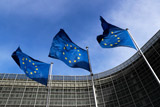 Совет ЕС утвердил режим санкций для борьбы с применением химоружия