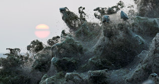 Фотохроника 19 октября