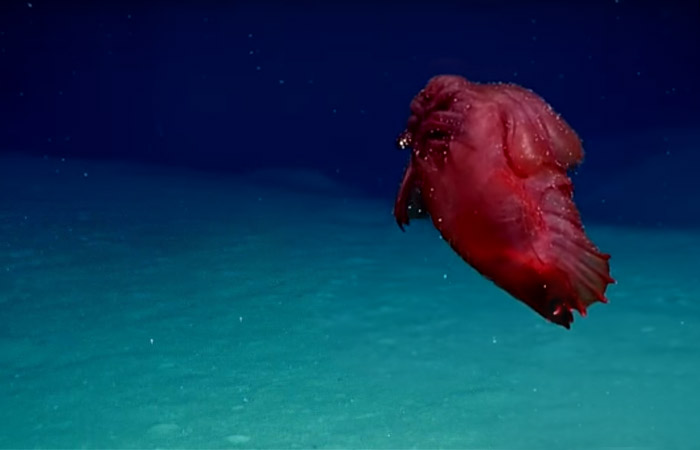 Что произошло в мире науки. Вечерний дайджест