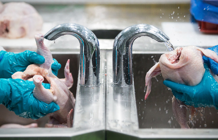 Суд оштрафовал Петелинскую птицефабрику за вредные бактерии в продукции