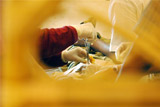В СПЧ осудили московскую клинику, предлагающую клиентам "женское обрезание"