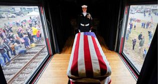 Фотохроника 7 декабря