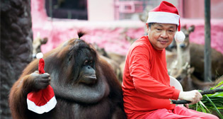 Фотохроника 21 декабря