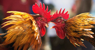 Фотохроника 18 января