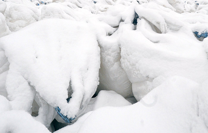 Уволена чиновница, заставившая учителей школы в Саратове убирать снег в мешки