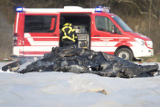 Источник назвал имена всех погибших в катастрофе российского самолета в Германии