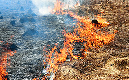Пожар в Забайкалье уничтожил 109 домов