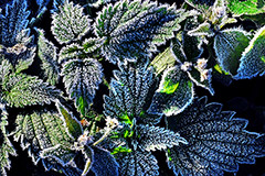 Синоптики предупредили москвичей о резком похолодании на Пасху