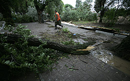 Несколько человек пострадали из-за непогоды в Москве
