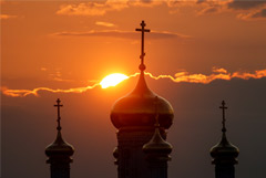 РПЦ призвала ввести мораторий на генную модификацию человека