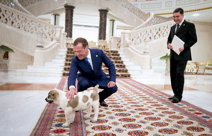 Президент Туркменистана подарил Медведеву щенка алабая