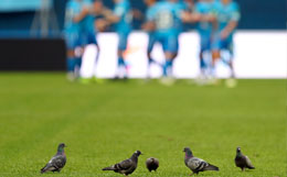 Клубы согласились расширить Российскую премьер-лигу до 18 команд