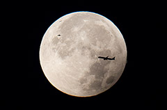 Airbus анонсировал создание сверхдальнего самолета A321XLR