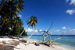 Россия и Мальдивы договорились о безвизовом режиме