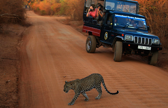 Туристы начали возвращаться на Шри-Ланку после апрельских терактов