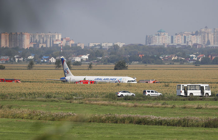 Аварийная посадка Airbus в кукурузном поле. Обобщение