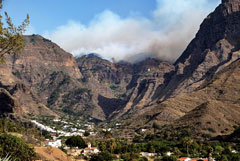 Около 10 тысяч человек эвакуированы с одного из Канарских островов из-за пожаров