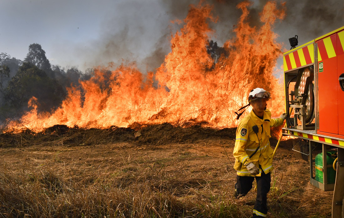 Масштабные лесные пожары бушуют в штатах Квинсленд и Новый Южный Уэльс на востоке Австралии