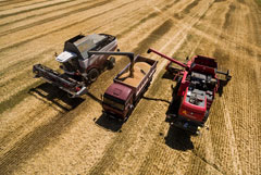 Ущерб сельскому хозяйству России от ЧС в 2019 году оценили в 9,5 млрд рублей