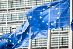 Совет ЕС продлил на полгода индивидуальные антироссийские санкции