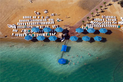 Эксперт заявила о росте случаев депортации россиян из Израиля по неизвестным причинам