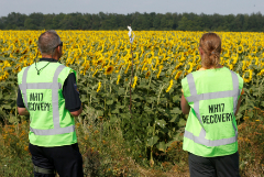          MH17