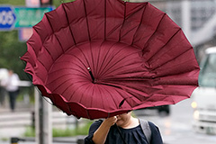 Более тысячи авиарейсов отменены в Японии из-за приближающегося тайфуна