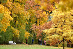 В Москве потеплеет до +15 градусов