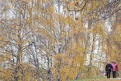 В Москве следующая неделя останется теплой