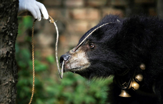 Фотохроника 24 октября