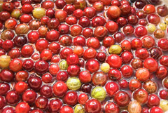 Виноград и крыжовник вошли в топ продуктов для заготовок на зиму