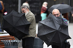 "Желтый" уровень погодной опасности объявили в Москве из-за ветра до 5 ноября