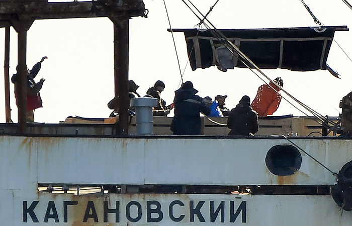 Всех животных из "китовой тюрьмы" в Приморье выпустили на свободу