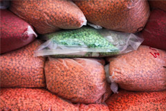 В Подмосковье ликвидировали крупнейшую за последние годы нарколабораторию