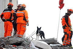 В Албании прекратили поиски выживших после землетрясения