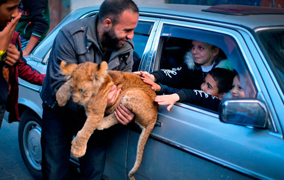 Фотохроника 4 декабря