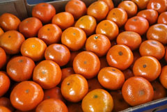 Поставки мандаринов из Абхазии в Россию сократились в два раза из-за неурожая