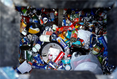 Москвичей обещали не наказывать за нарушения при раздельном сборе мусора