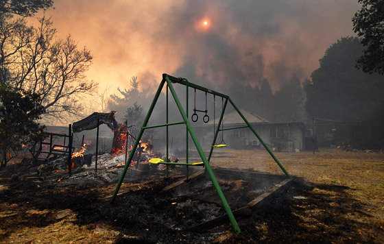 Фотохроника 19 декабря