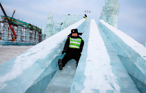 Самые смешные фотографии года