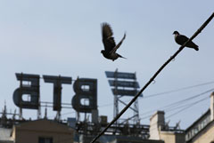 Костин подтвердил уход из ВТБ первого вице-президента Олюнина