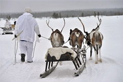 Вместо службы в армии россияне смогут поработать оленеводами или малярами