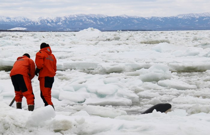 Сахалинские спасатели эвакуировали со льда почти 100 рыбаков