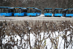 Минтранс и ВЭБ подготовили конкурирующие проекты по обновлению парка автобусов