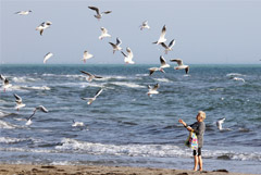 Власти Крыма дали путевки блокадникам после скандала с поздравлением хлебом