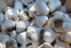 Минсельхоз исключил возможность дефицита чеснока в РФ из-за коронавируса