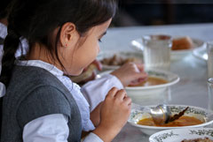 Госдума приняла закон о бесплатном горячем питании в начальных классах