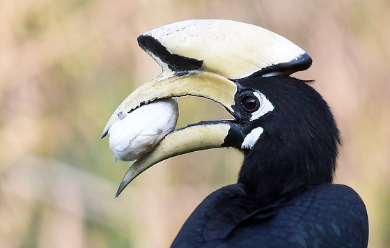 Фотохроника 4 марта