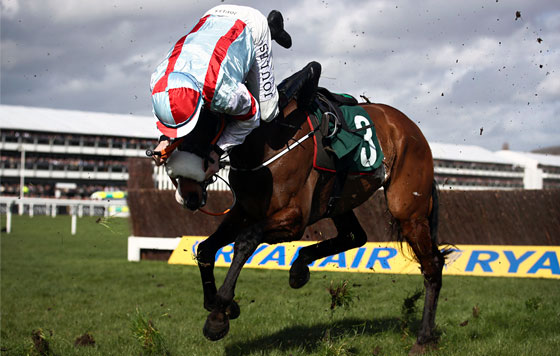 Фотохроника 13 марта