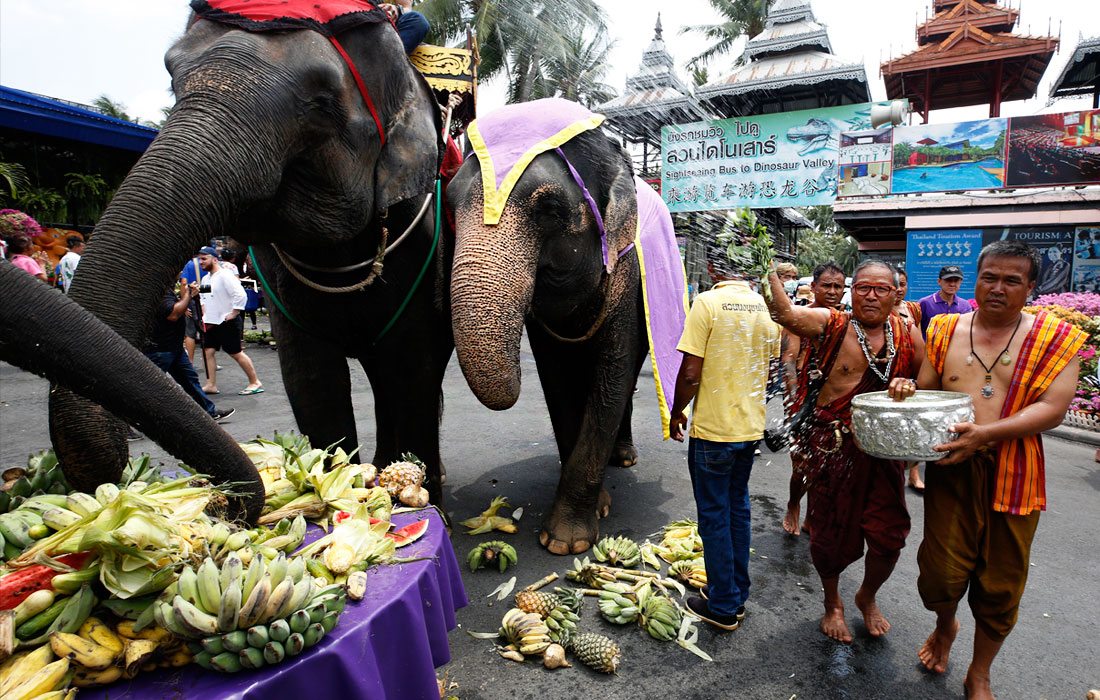 Жители Таиланда отмечают национальный день слона, который является символом страны. В этот день проводятся яркие представления, буддистские церемонии, а для виновников торжества устраиваются праздничные столы из фруктов.